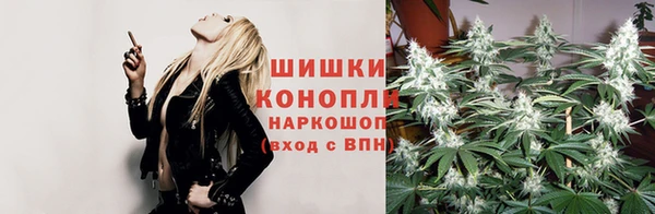 дмт Лихославль