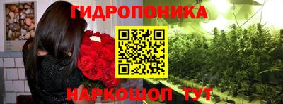 Альфа ПВП Берёзовский