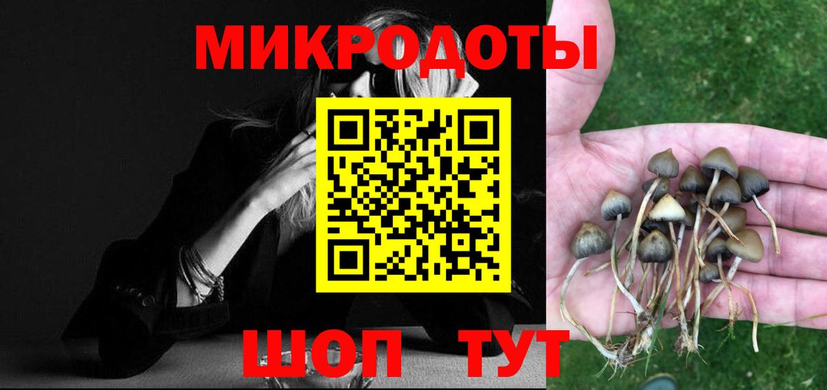 Галлюциногенные грибы Psilocybine cubensis Уссурийск